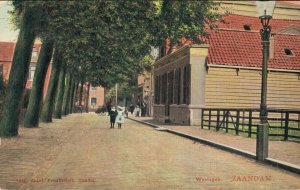 Netherlands Westzijde Zaandam Vintage Postcard 08.30