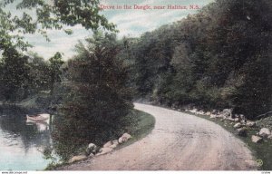 Near HALIFAX, Nova Scotia, Canada, 1900-1910s; Drive In The Dingle