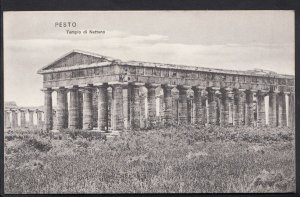 Italy Postcard - Pesto - Tempio Di Nettuno   A9983