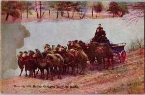 Barnum & Bailey Circus Wagon Pulled by Camels Vintage Postcard U02
