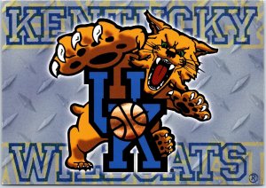 VINTAGE CONTINENTAL SIZE POSTCARD THE UNIVERSITY OF KENTUCKY WILDCATS MASCOT