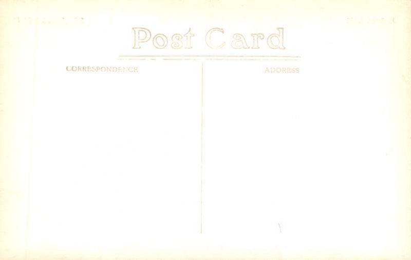 SS Roggeveen Printed Photo Royal Pocket Navigation Co. Ship 