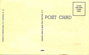 WV - Babcock State Park. Bridge