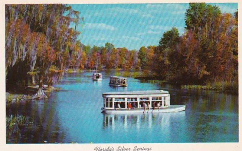 Florida Silver Springs Glass Bottom Boats On Silver River