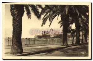Postcard Old Saint Raphael The plamiers Felix Martin Blvd.
