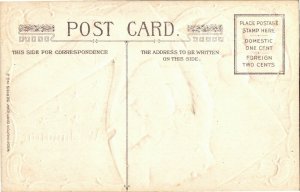 Embossed Washington on Hatchet Blade, His Bravery Winsch Vintage Postcard E24