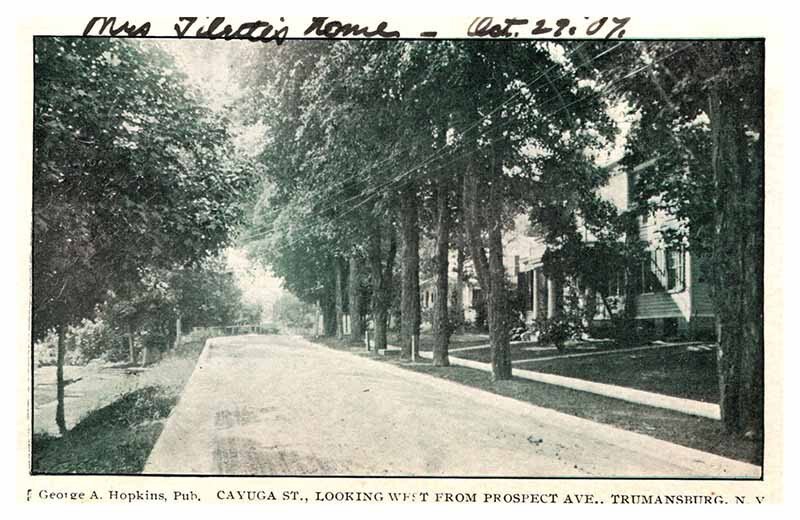 Postcard ROAD SCENE Trumansburg New York NY AP3445 United States