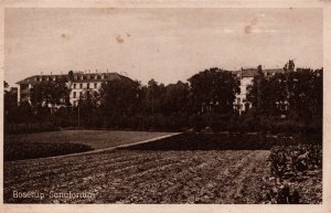 Denmark Boserup Sanatorium Roskilde Vintage Postcard 09.88