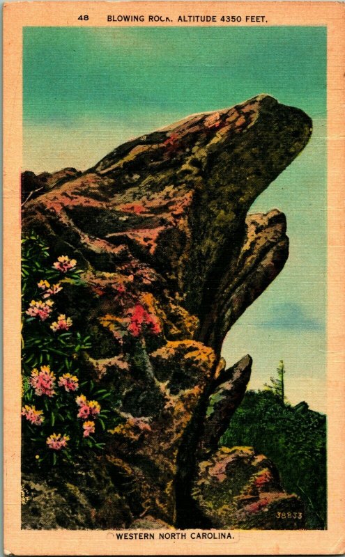 Blowing Rock North Carolina NC View of blowing rock 1939 Vtg Linen Postcard