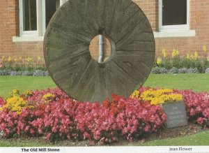 Sidmouth The Old Mill Stone Devon Postcard