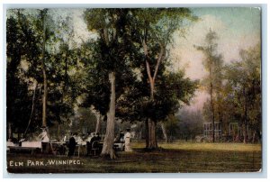 Winnipeg Manitoba Canada Postcard Scene at Elm Park 1907 Posted Antique