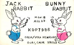 Ojai California QSL CB~HAM RADIO Jack~Bunny Rabbit OREN & VERA HENRICKS Postcard