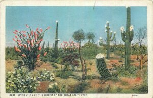 United States scenic springtime on the desert of the great southwest cactuses 