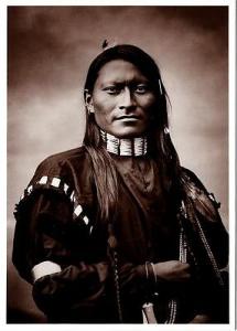 Red Armed Panther Cheyenne Scout 1879 Modern Postcard