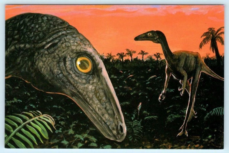 STENONYCHOSAURUS Dinosaur 1992 Artist Signed Dave Marrs 4x6 DinoCardz Postcard