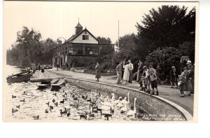 Real Photo, Feeding the Swans, LLandrindod Wells, Wales