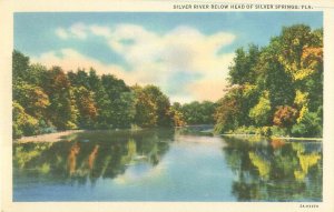 Silver Springs, Florida, Silver River, Linen, Unused