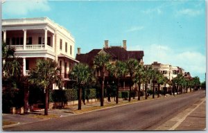 East Battery Street Charleston South Carolina SC Trees Along The Road Postcard