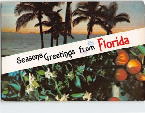 Postcard Seasons Greetings from Florida USA