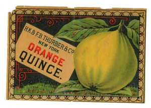 1870s-80s Thurber Can Label Orange Quince #6M