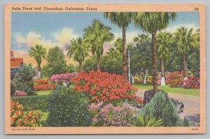 Linen~Galveston Texas~Palm Trees & Oleanders~Vintage Postcard