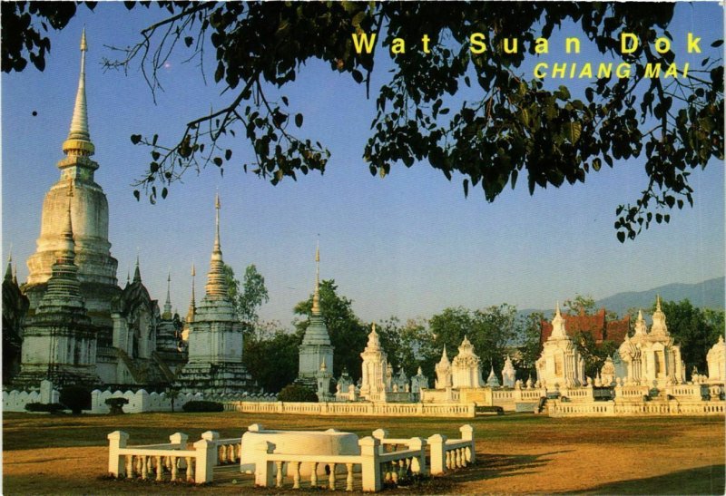 CPM AK THAILAND Wat Suan Dok, Chiang Mai. Thailand (346131)