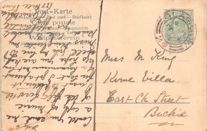 Animals Humanized Playful Cats on Sledge Anthropomorphic 1905 postcard  B925