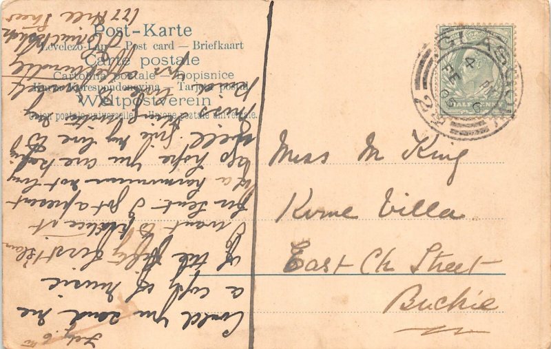 Animals Humanized Playful Cats on Sledge Anthropomorphic 1905 postcard  B925