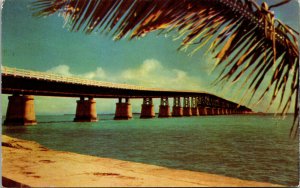 Vtg 1950s View of Overseas Highway Linking Key West with Florida FL Postcard