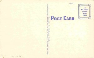 Typical Texas Oil Field linen postcard