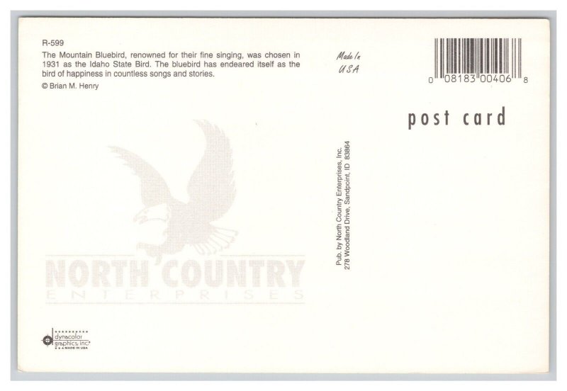The Mountain Bluebird Idaho State Bird Postcard Continental View