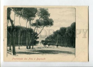 3147219 LEBANON BEYROUTH Vintage undivided back postcard