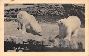 Polar Bears, San Diego Zoo San Diego, California, USA Bear Postal Used Unknown 
