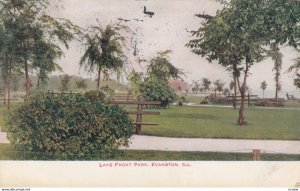 EVANSTON , Illinois , 00-10s ; Lake Front Park