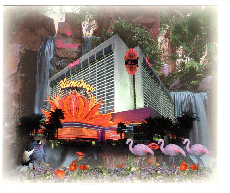 5 X 6 inch,  Flamingo, Las Vegas, Nevada, William Carr