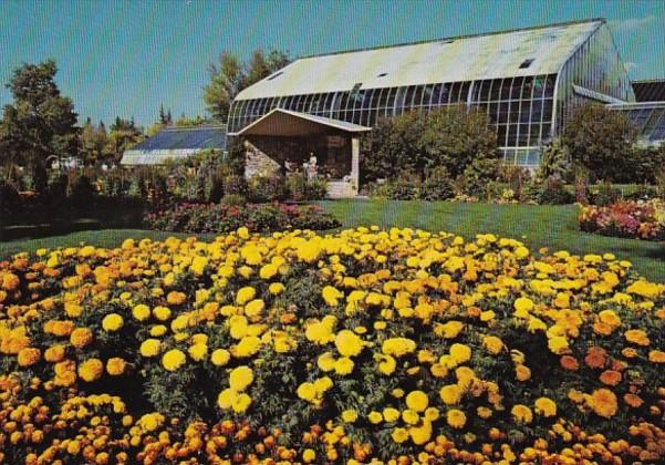 Canada Calgary Marigolds and Tropical Aviary At Calgary Zoo