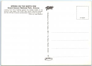 c1970s Grand Canyon Park, AZ Prickly Pear Cactus Spring North Rim 4x6 PC M13