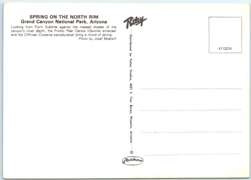 c1970s Grand Canyon Park, AZ Prickly Pear Cactus Spring North Rim 4x6 PC M13