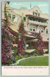 Santa Barbara California~Potter Hotel Bouganvillia Vines~c1910 Postcard