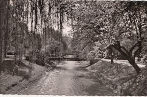 BF19185 baden baden partie in der lichtentaler allee  germany front/back image