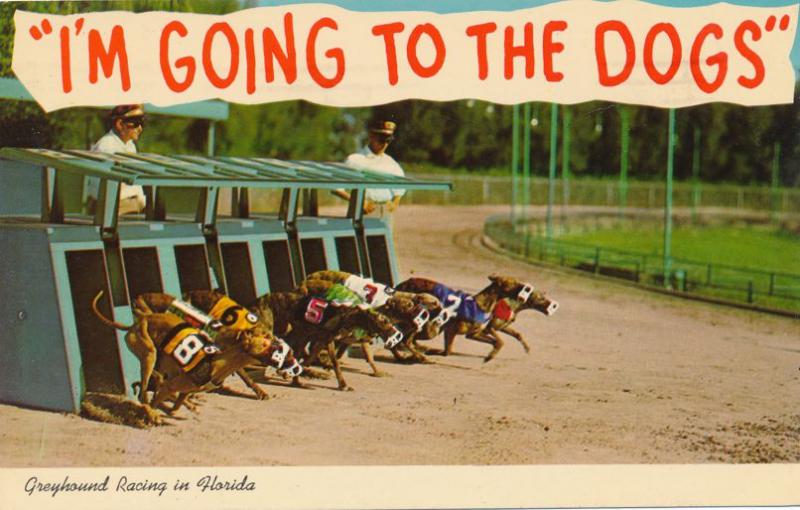 I'm Going to the Dogs Greyhound Racing in Florida pm 1970