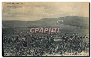 Old Postcard Folklore Wine Vintage Champagne Moet & Chandon The harvest has S...