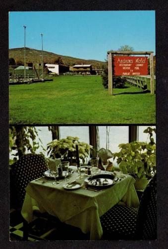 VT View Andirons Motel MOUNT Mt SNOW VERMONT Postcard