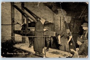 Seattle Washington WA Postcard Shoeing Oxen Scene Interior Factory c1913 Vintage