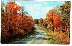 Algonquin Park in Autumn, Ontario