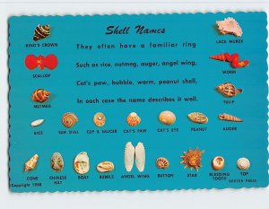 Postcard Shell Names