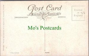 Birds Postcard - Teal Ducks SW7923