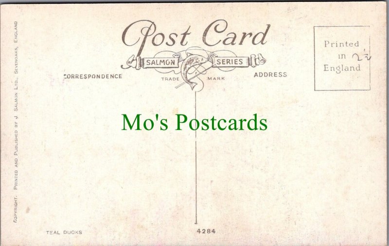 Birds Postcard - Teal Ducks SW7923