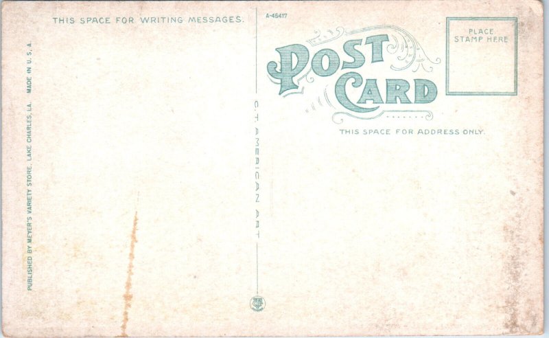 1920s Central School Lake Charles LA Postcard