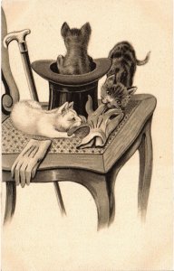 PC CATS, THREE CATS PLAYING WITH A TOPHAT AND GLOVES, Vintage Postcard (b46670)